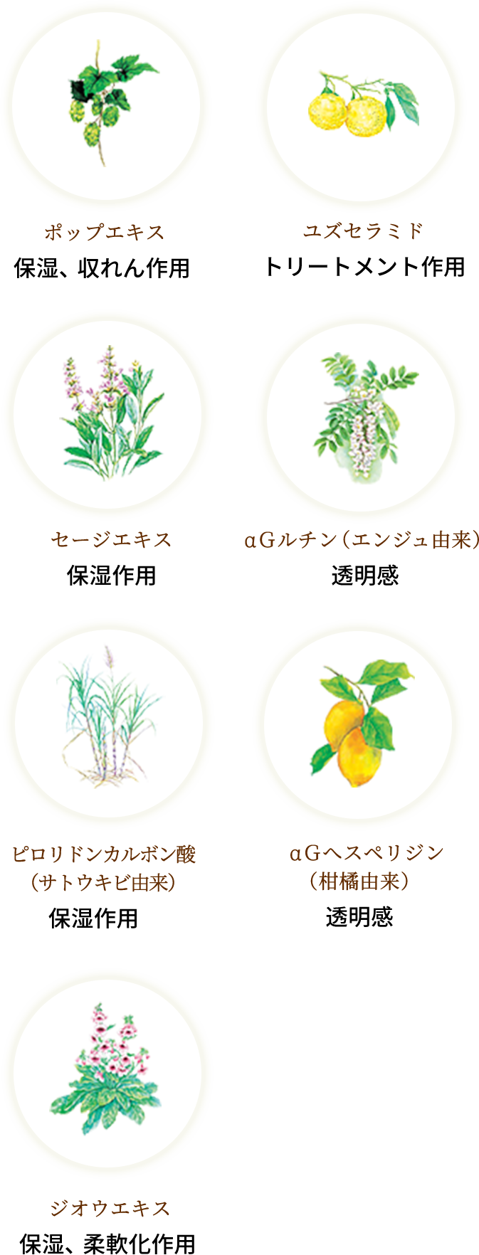 7種類の植物由来成分